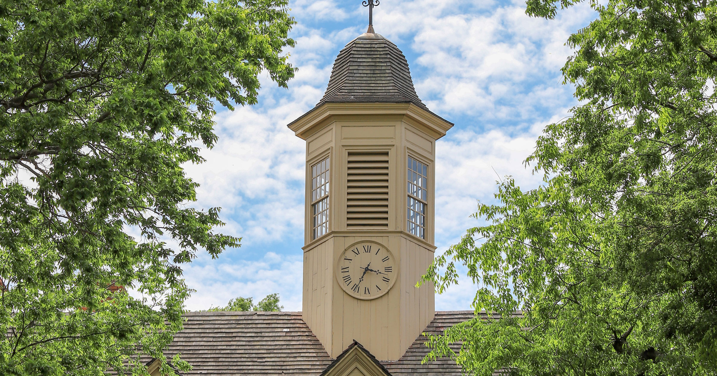 generic_crop_13-wren-cupola.jpg